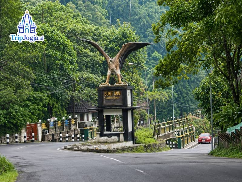 Family holiday Jogja Borobudur Merapi Park dan VW Safari